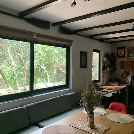 Eko Moca * マカルスカ