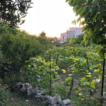 Eko Moca Apartment Makarska