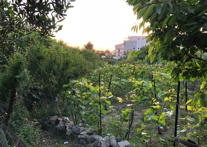 Eko Moca Daire Makarska