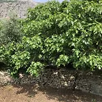 Eko Moca Makarska