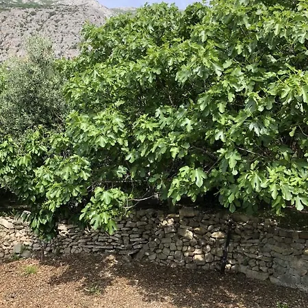 Eko Moca Makarska