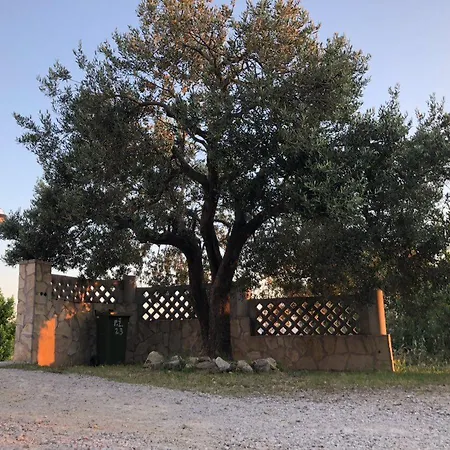 Apartman Eko Moca