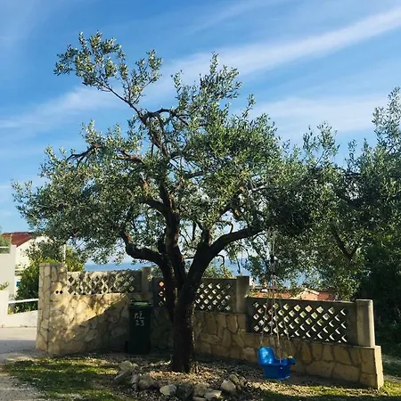 Apartman Eko Moca *